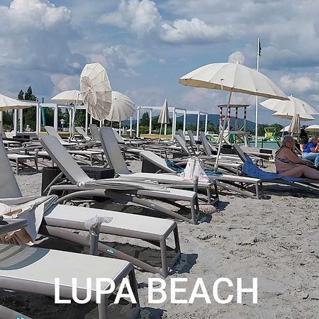 Chill Apartman Budakalasz Bagian luar foto
